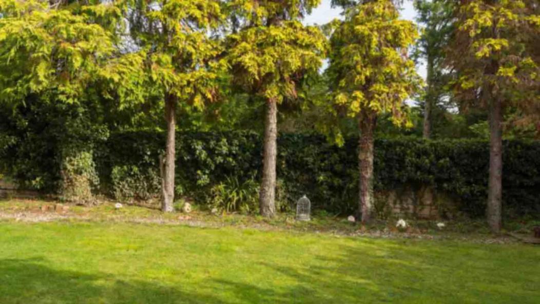 Piglet Cottage Pebworth Bagian luar foto
